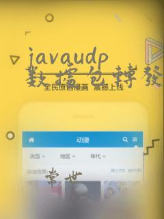 javaudp数据包转发给tcp教程