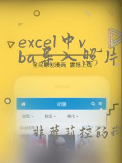 excel中vba导入照片