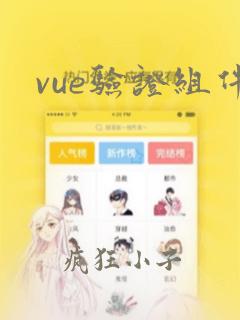 vue验证组件