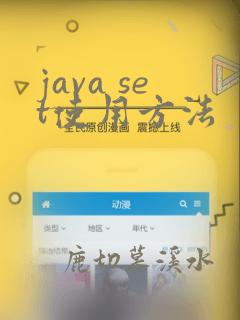 java set使用方法
