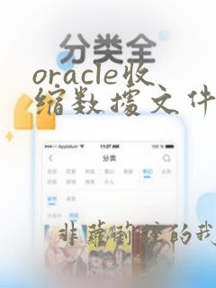 oracle收缩数据文件