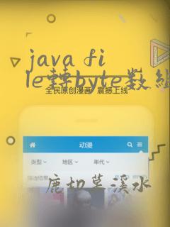 java file转byte数组