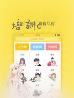培训c