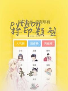 python 打印类型