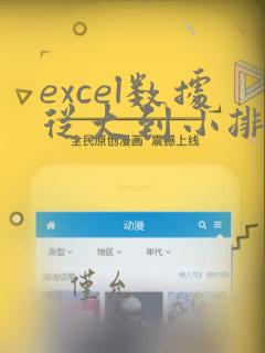 excel数据从大到小排列用什么函数