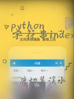 python 字符串index