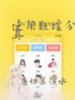 使用数据分析工具