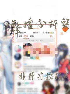 数据分析系统软件