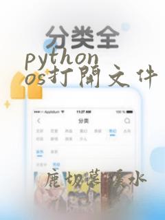 python os打开文件