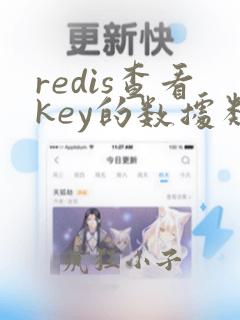 redis查看key的数据类型