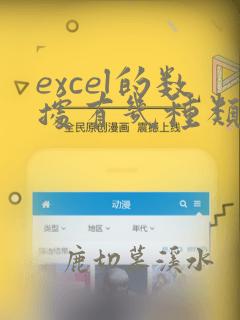 excel的数据有几种类型
