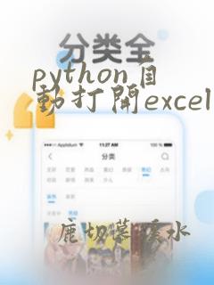 python自动打开excel