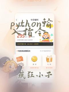 python输入指令