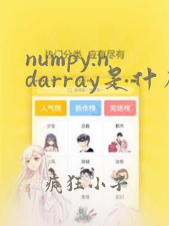 numpy.ndarray是什么类型