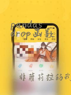 pandas drop函数