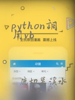 python调用vb