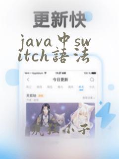 java中switch语法