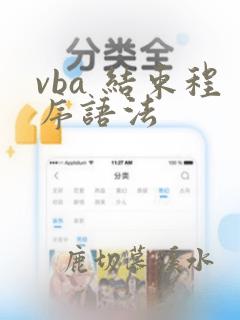 vba 结束程序语法
