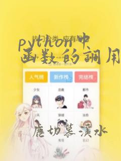 python中函数的调用