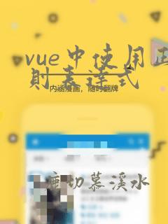 vue中使用正则表达式