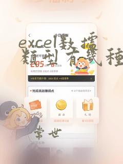 excel数据类型有几种