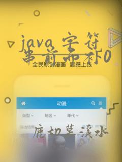 java 字符串前面补0