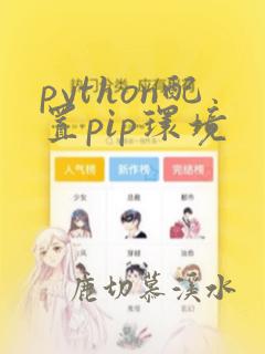 python配置pip环境