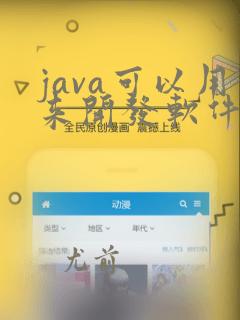 java可以用来开发软件吗