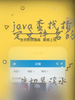 java查找指定文件名的文件