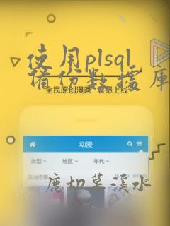 使用plsql备份数据库