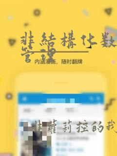 非结构化数据的管理