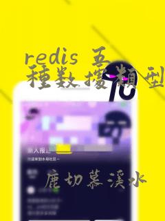 redis 五种数据类型
