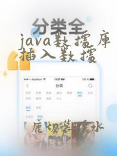 java数据库插入数据