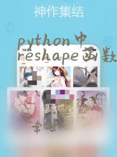 python中reshape函数