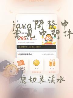 java开发中常见中间件