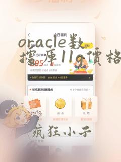 oracle数据库11g价格