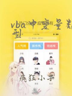 vba中变量类型