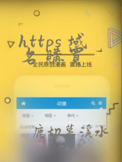 https 域名 购买