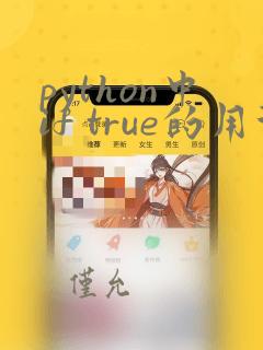 python中if true的用法