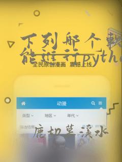 下列哪个软件不能进行python代码编写