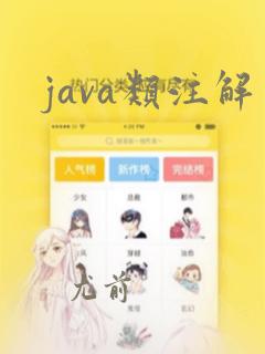 java类注解