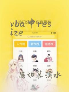 vba中resize