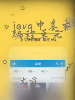 java中基本编程单元