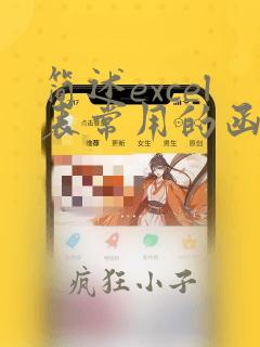 简述excel表常用的函数及使用要点