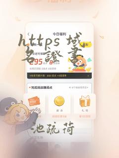 https 域名 证书