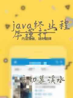 java终止程序运行