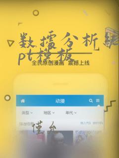 数据分析统计ppt模板