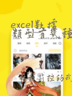 excel数据类型有几种