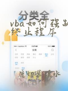 vba如何强制终止程序