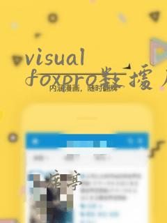 visual foxpro数据库程序设计
